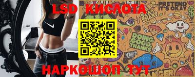 крисы Можга