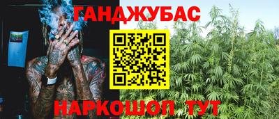 крисы Можга