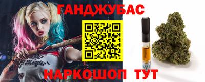 крисы Можга
