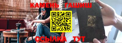 крисы Можга