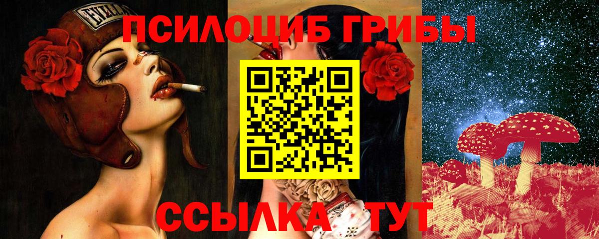 Псилоцибиновые грибы мицелий Томск
