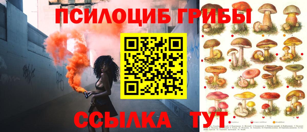 Томск  Галлюциногенные грибы Magic Shrooms  Вход с VPN 